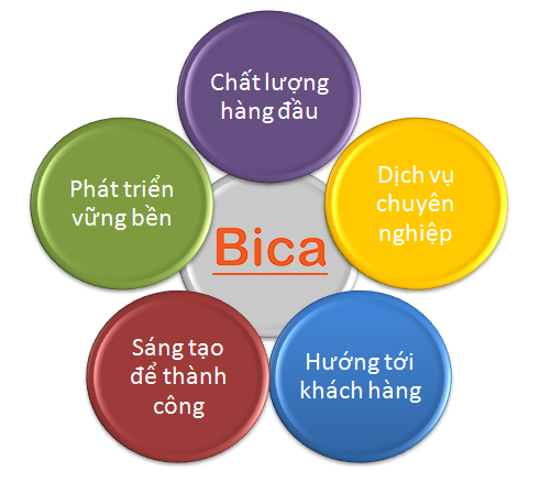 Tầm nhìn sứ mệnh Bica